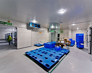 血制品公司建造80立方-25~-30℃血漿冷庫的方案報價？