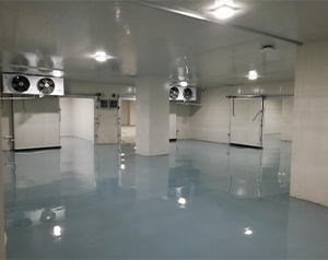 血制品公司建造80立方-25~-30℃血漿冷庫的方案報價？