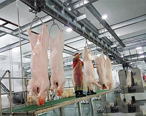 豬肉加工廠冷庫如何進行設(shè)計建造？
